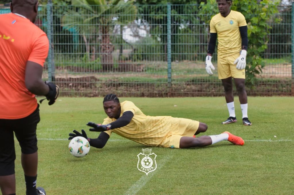 Léopards: «C’est une énorme fierté d’être de retour en équipe nationale et de défendre les couleurs de mon pays» (Timothy Fayulu)